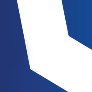 Nayamode Bluewave client Visa Everywhere Initiative